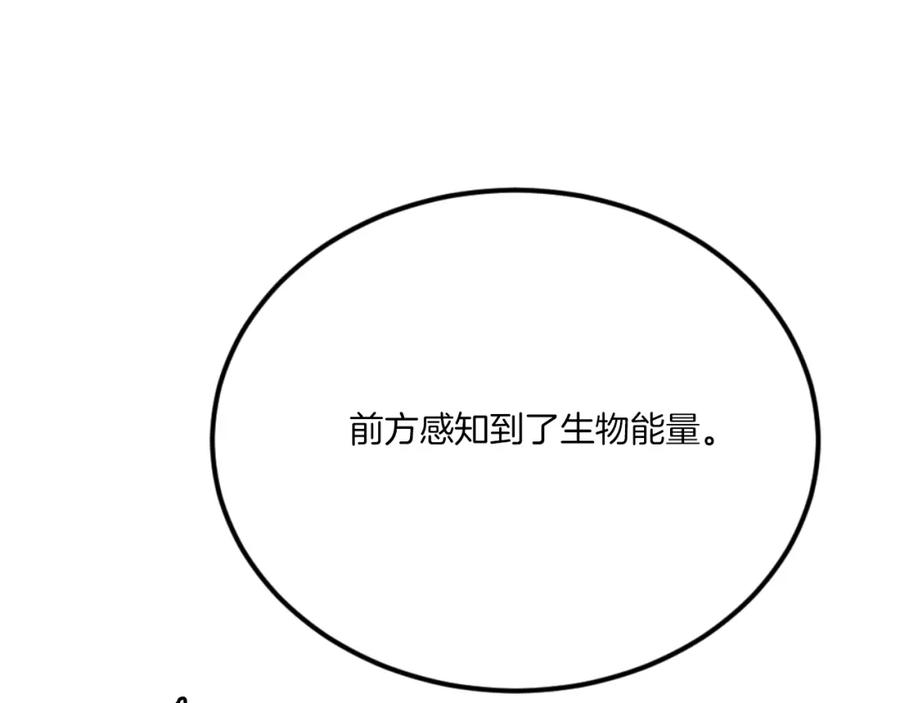 第215页