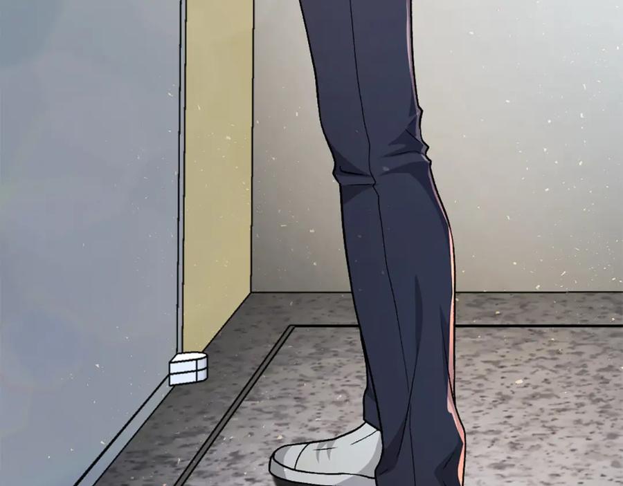 第231页