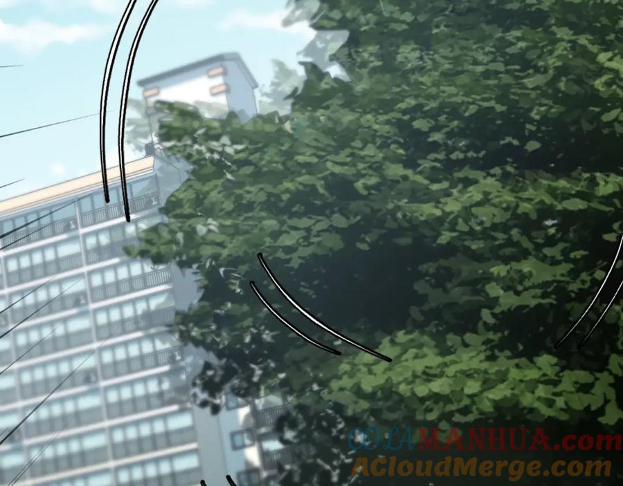 第217页