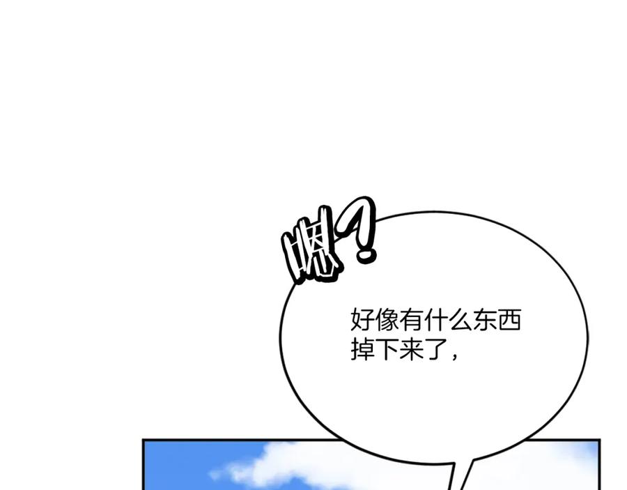 第238页
