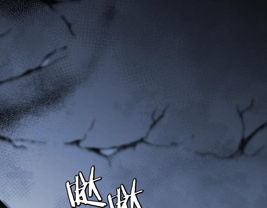 第216页