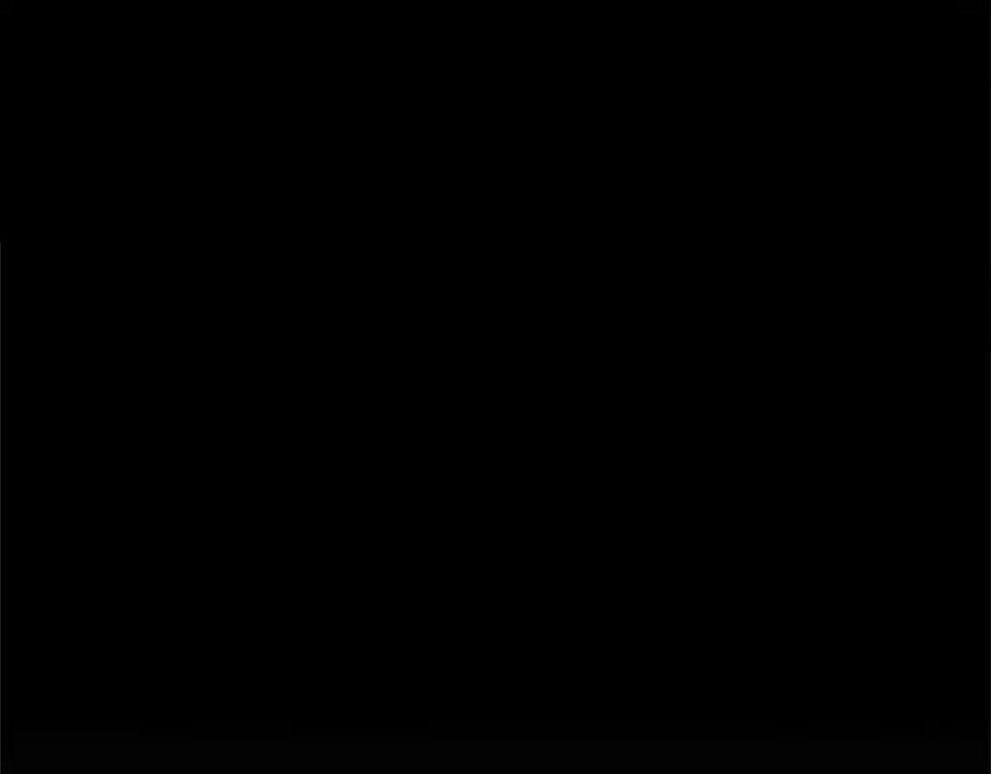 第256页
