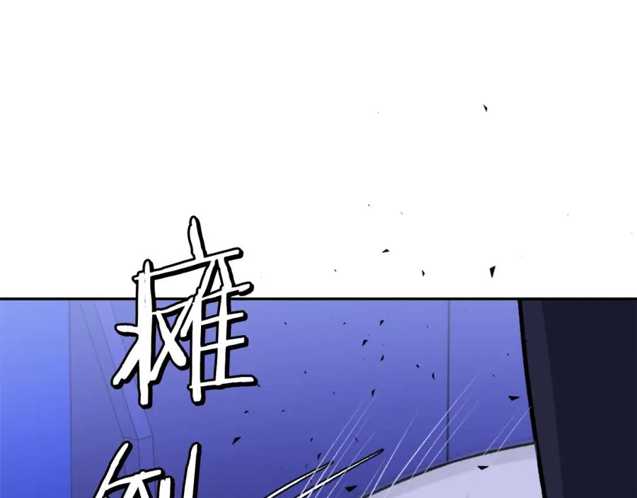 第242页