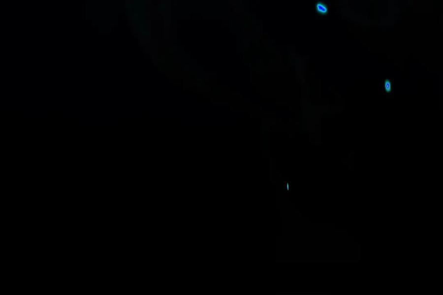 第274页