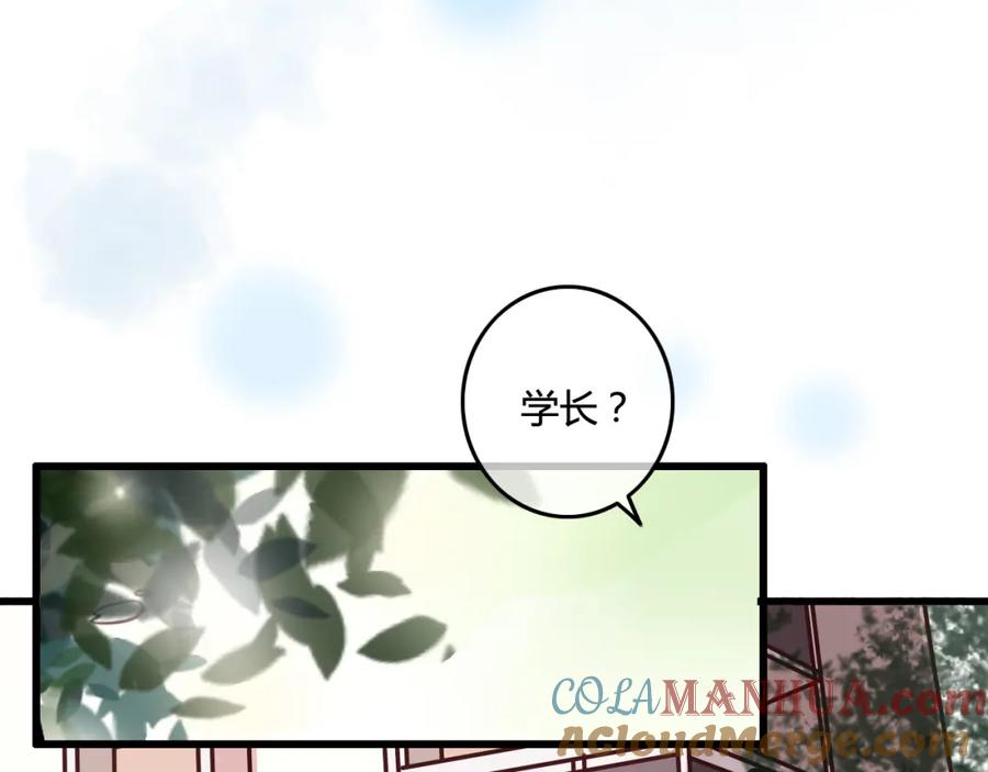 第208页