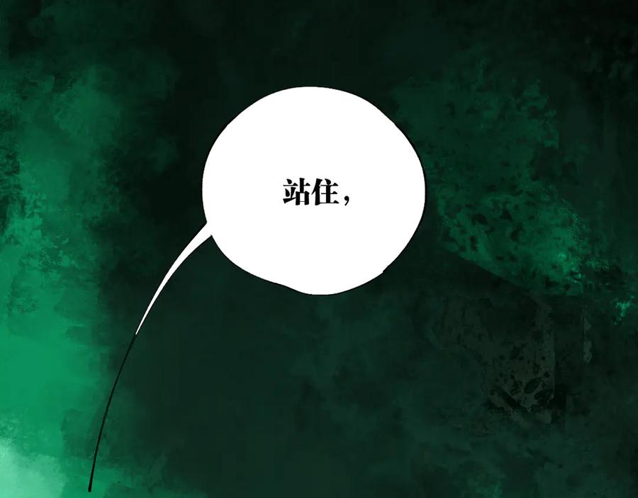 第215页