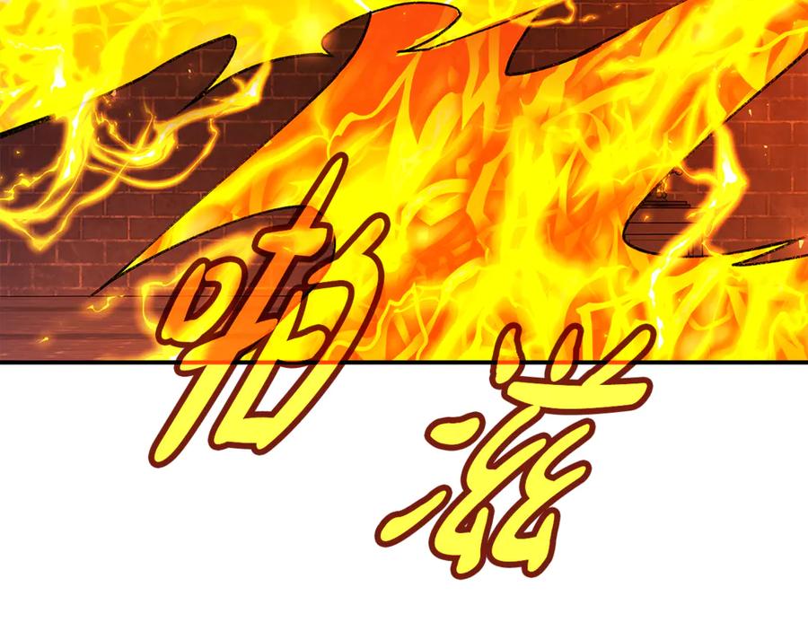 第224页
