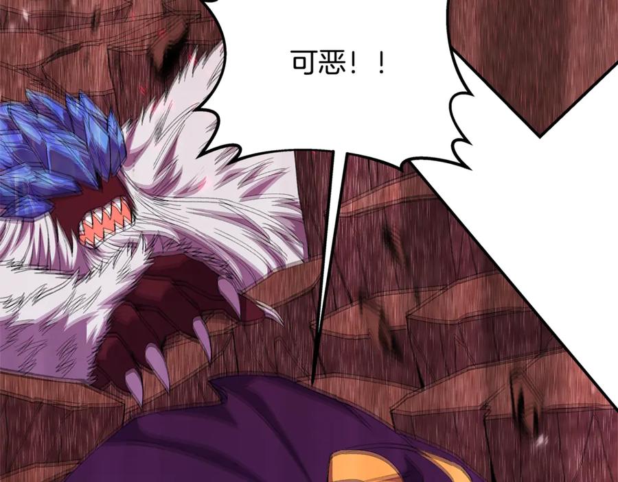 第204页