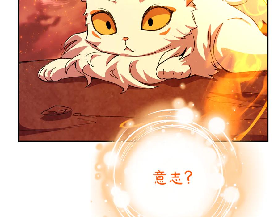 第259页
