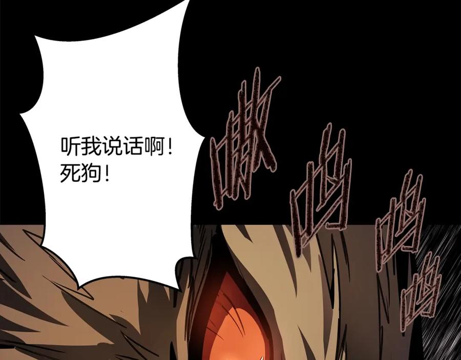 第218页