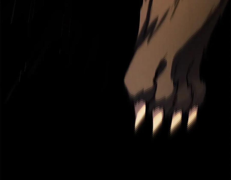 第224页