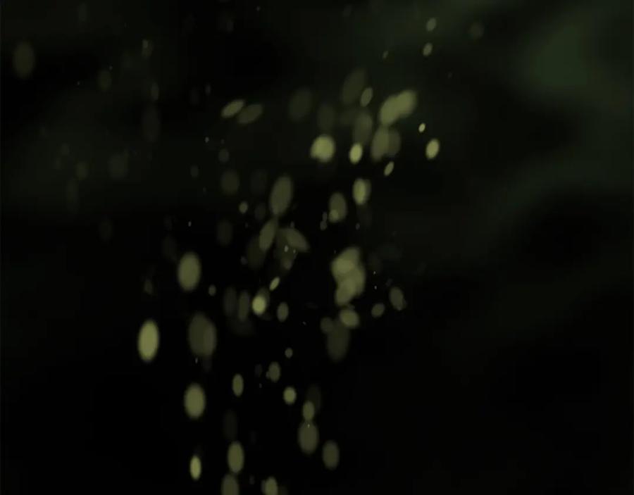第247页