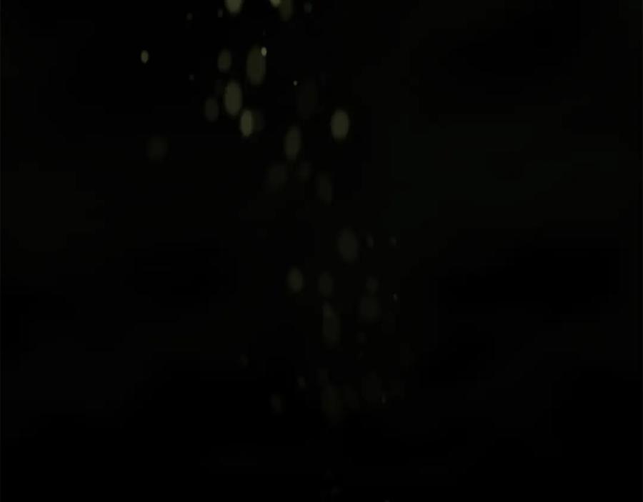 第248页