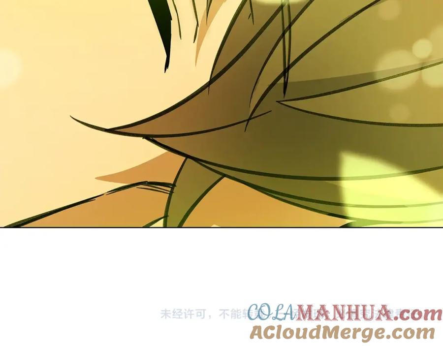 第197页