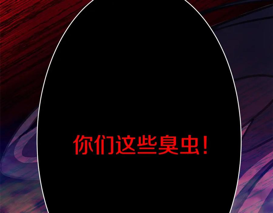 第242页