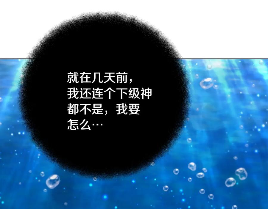第231页
