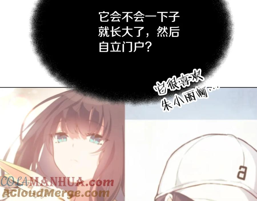 第185页