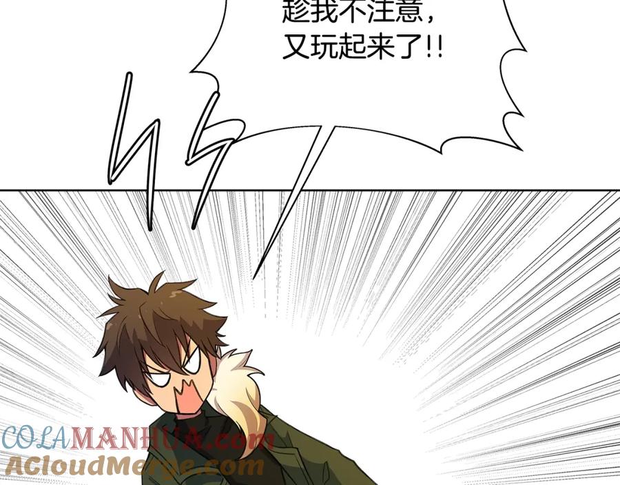 第233页
