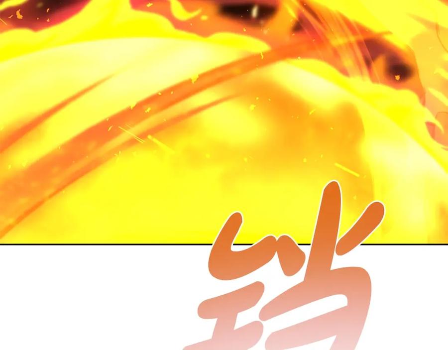第294页