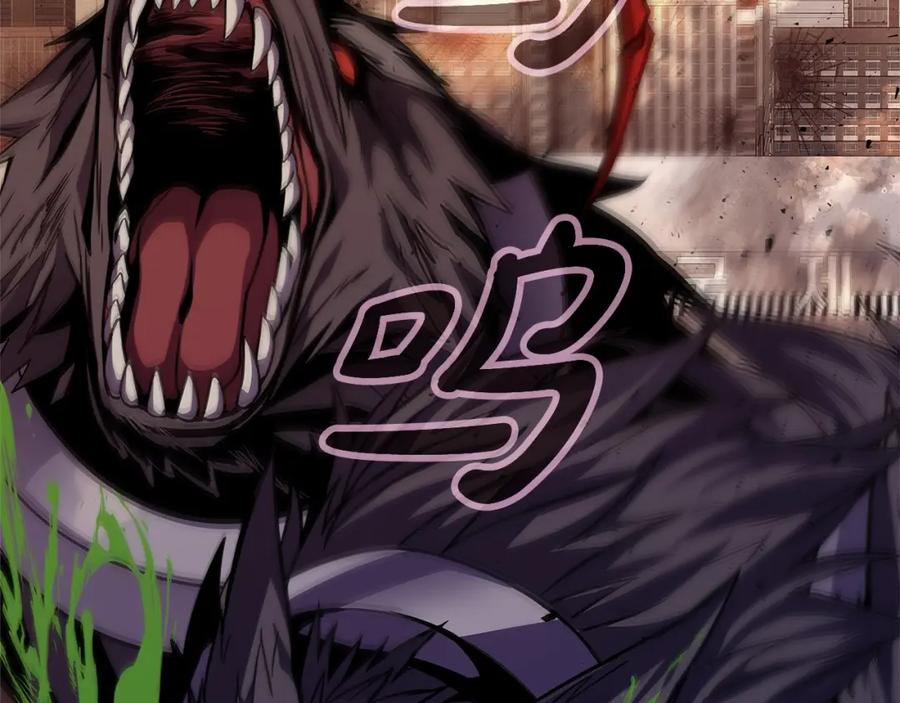 第216页