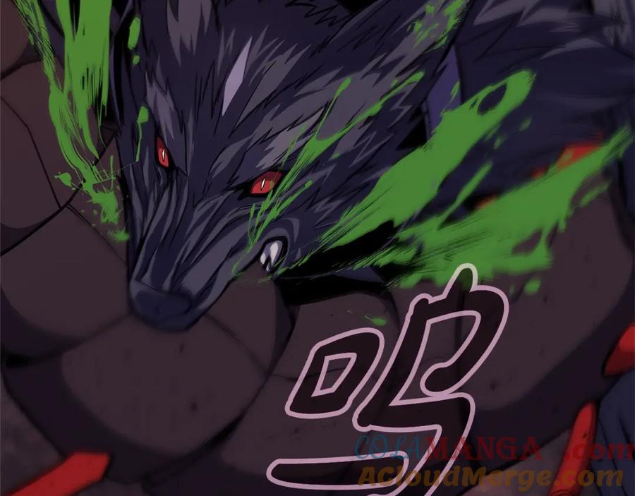 第217页