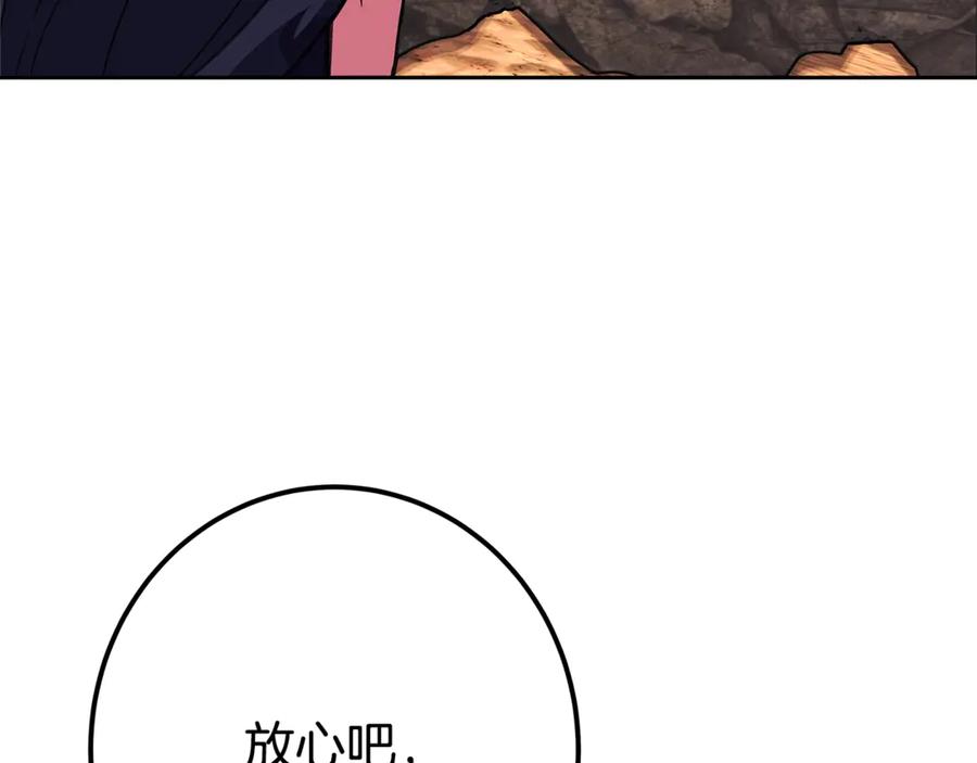 第223页