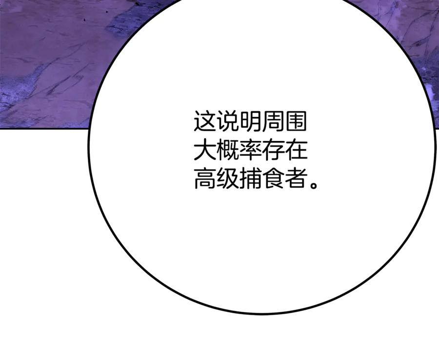 第223页