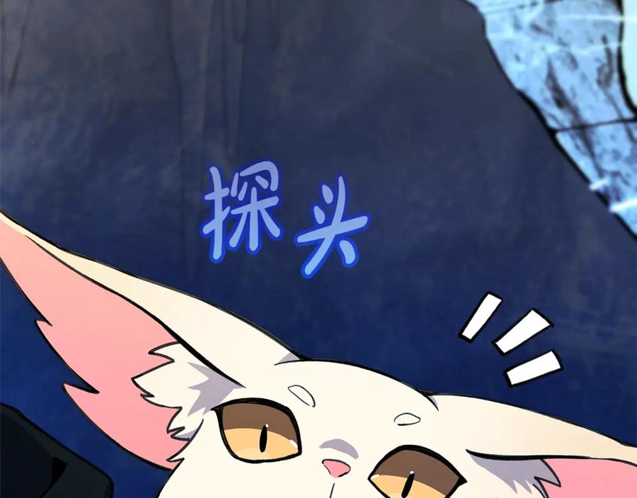 第215页