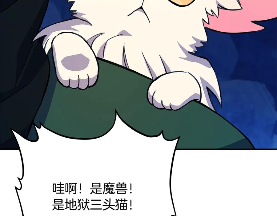 第216页