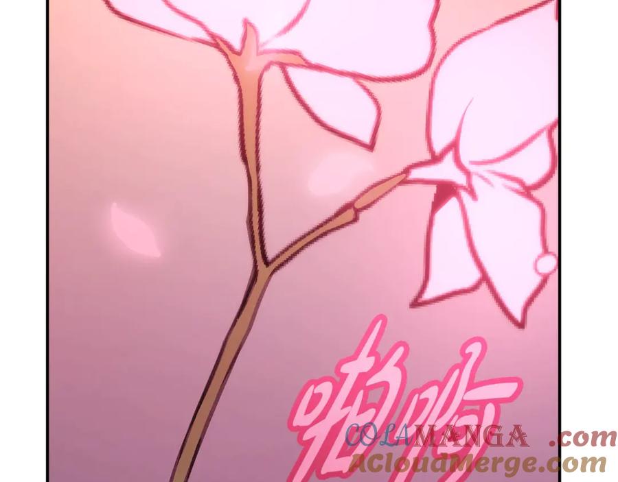 第233页