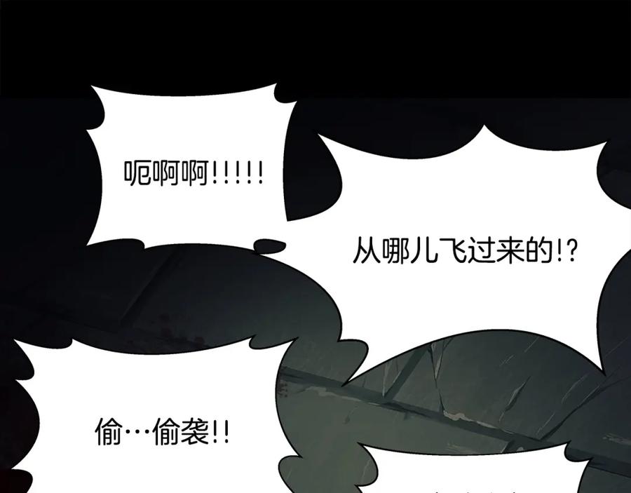 第210页