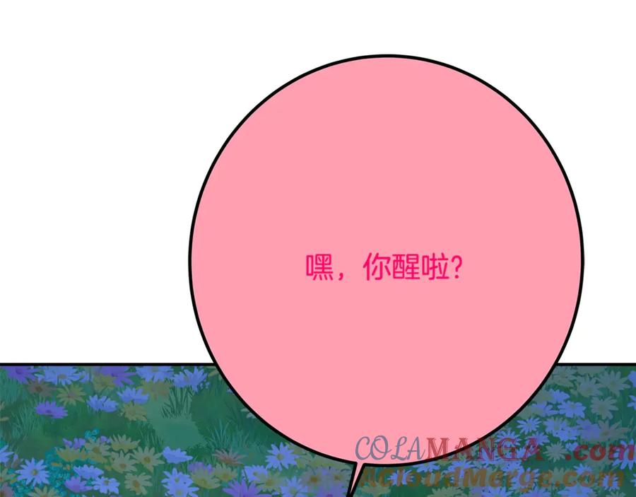 第221页
