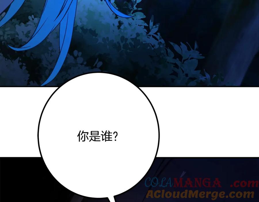 第217页