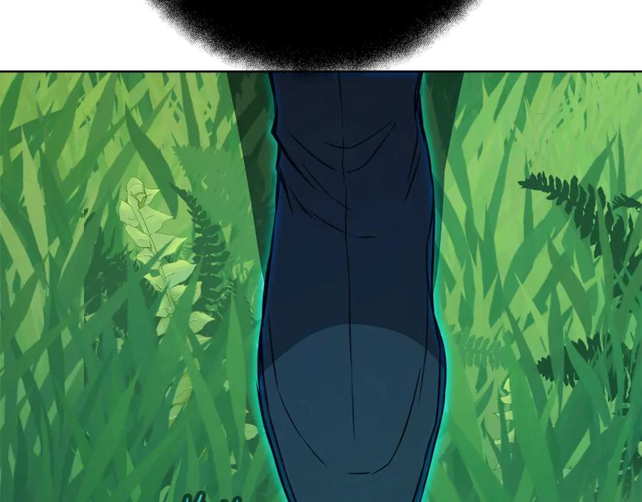第218页