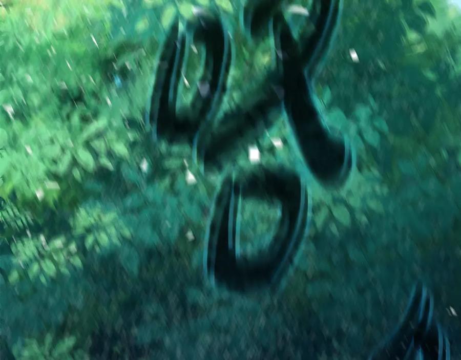 第231页