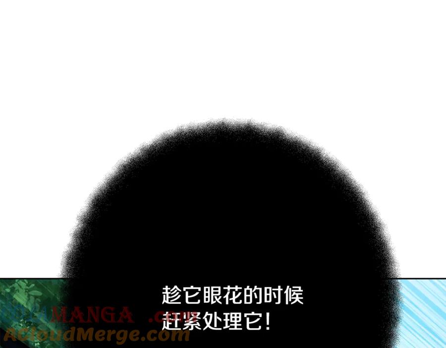 第245页