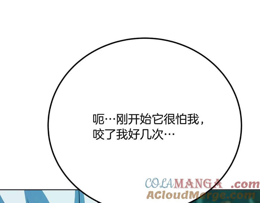 第233页