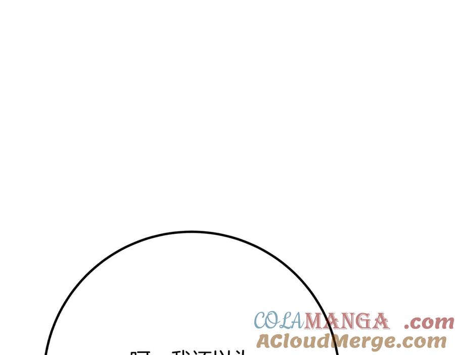 第237页
