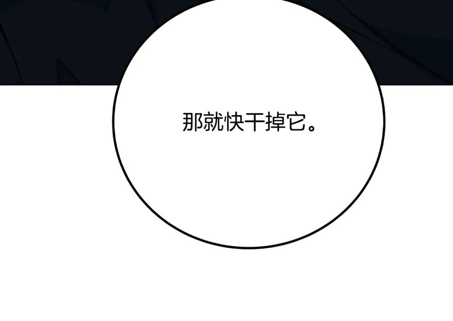 第244页