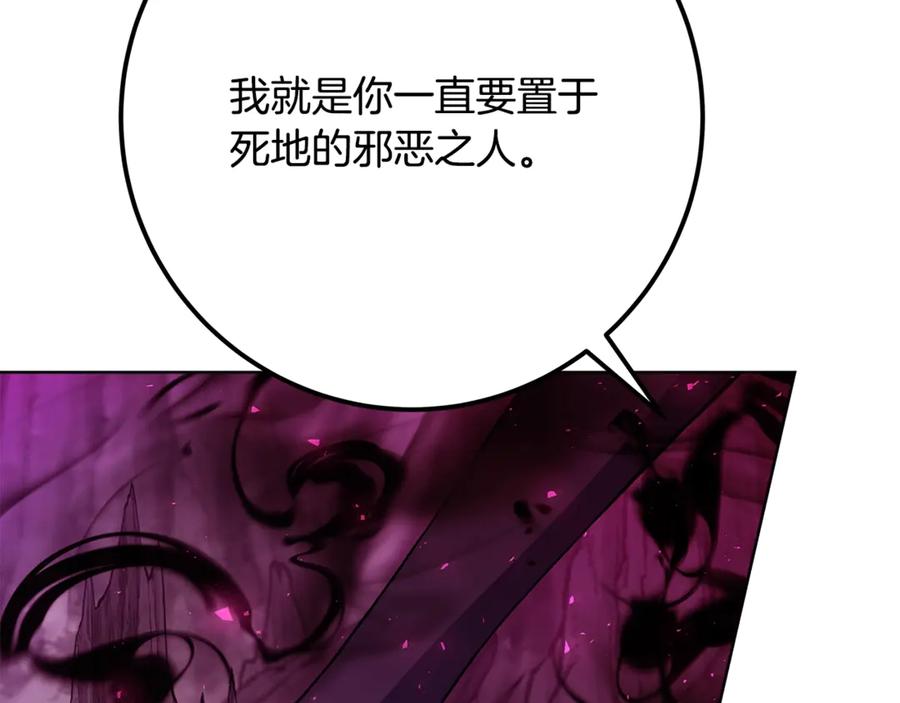 第223页