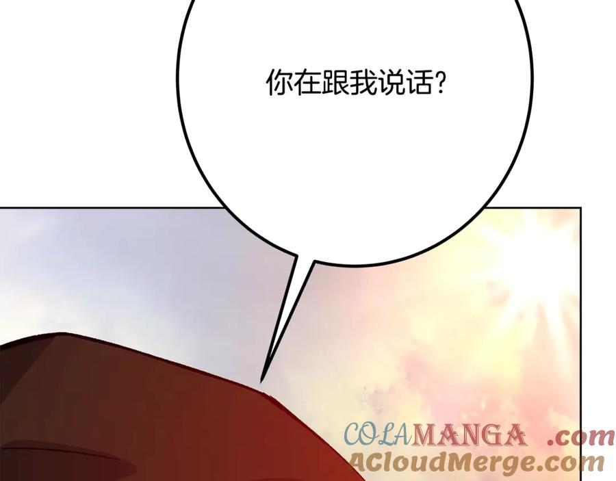 第221页
