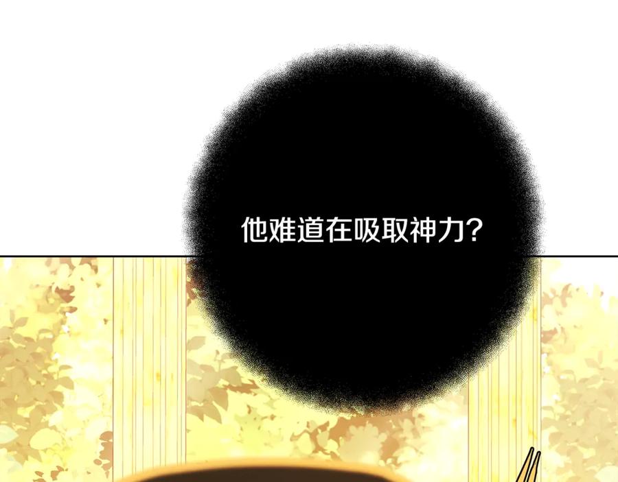 第242页