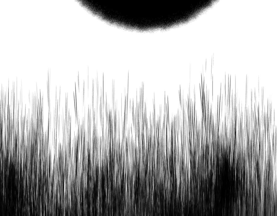 第244页