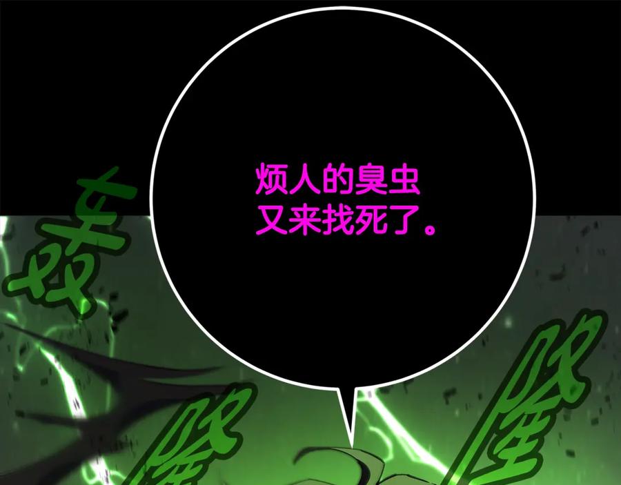 第223页