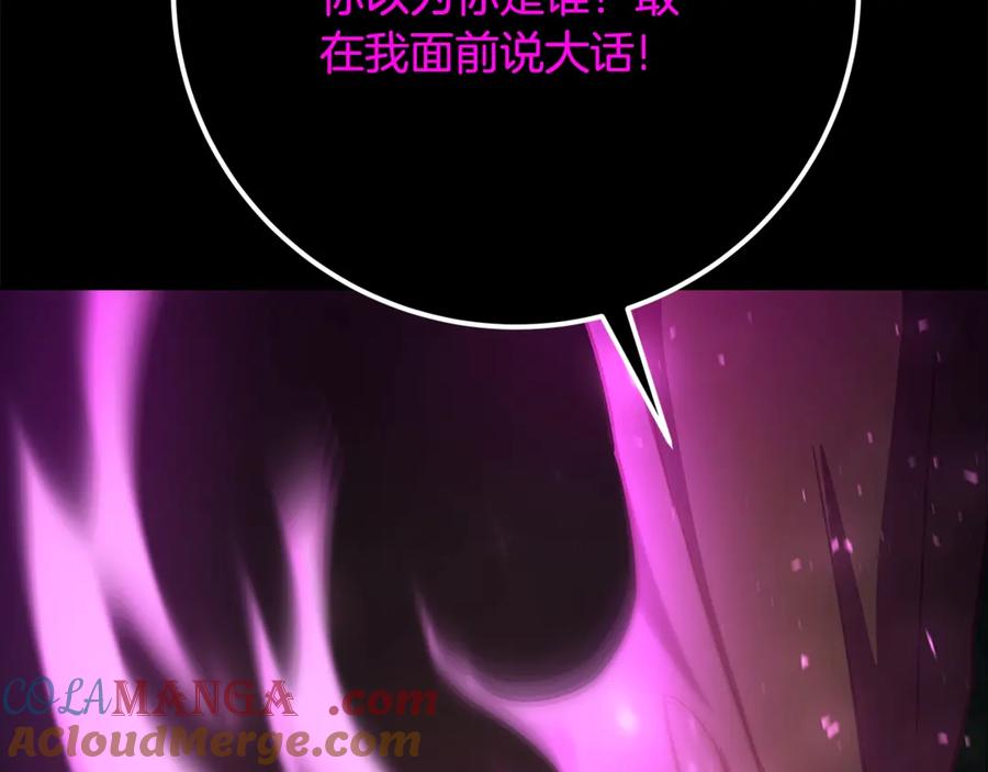 第241页