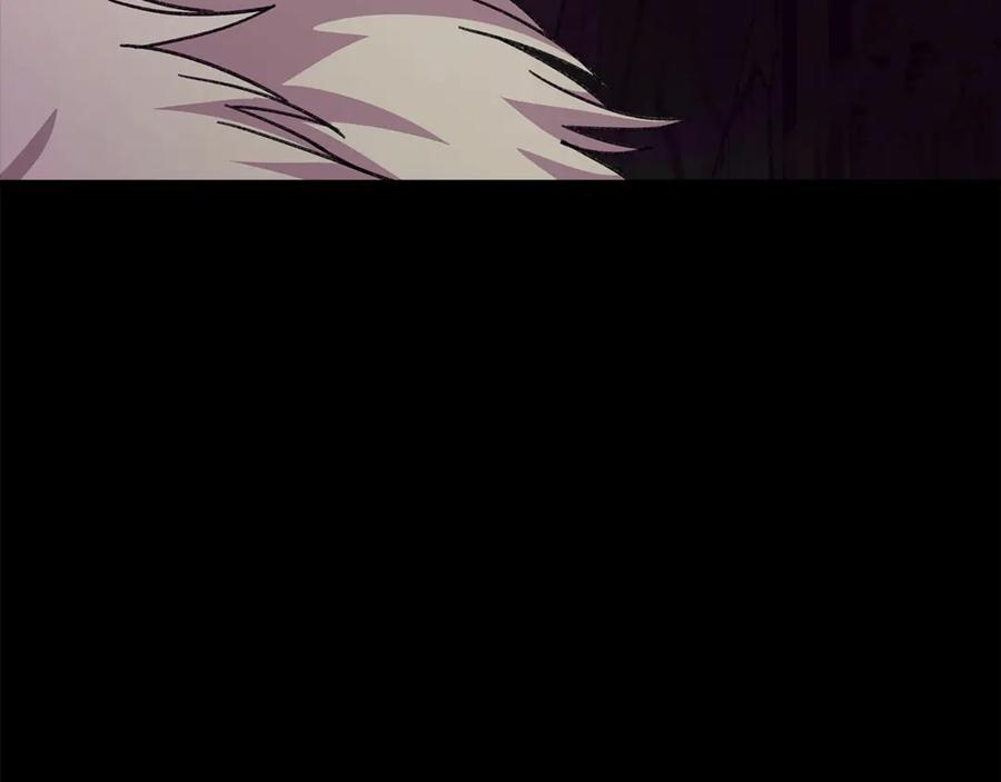 第255页