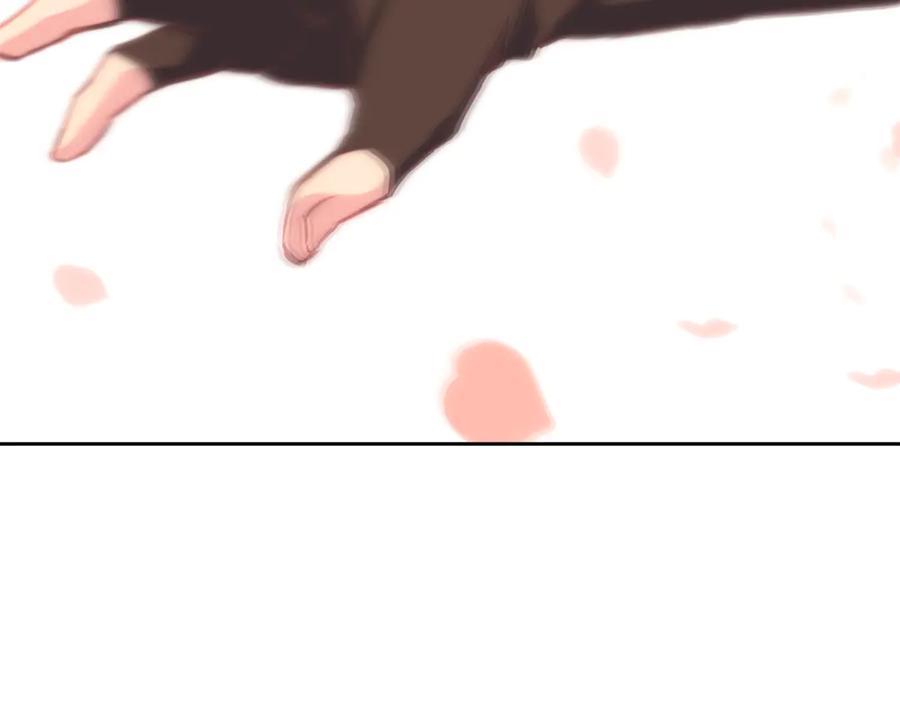 第240页