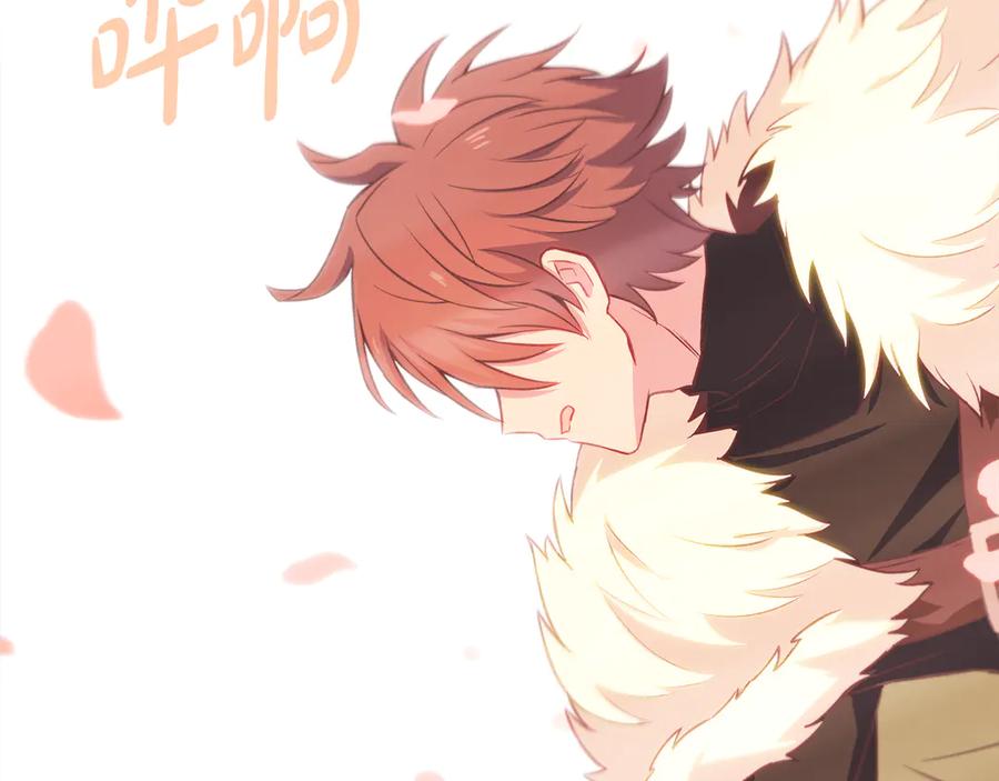 第242页
