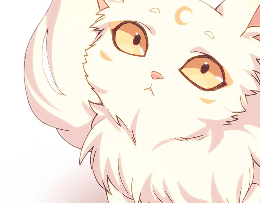 第203页