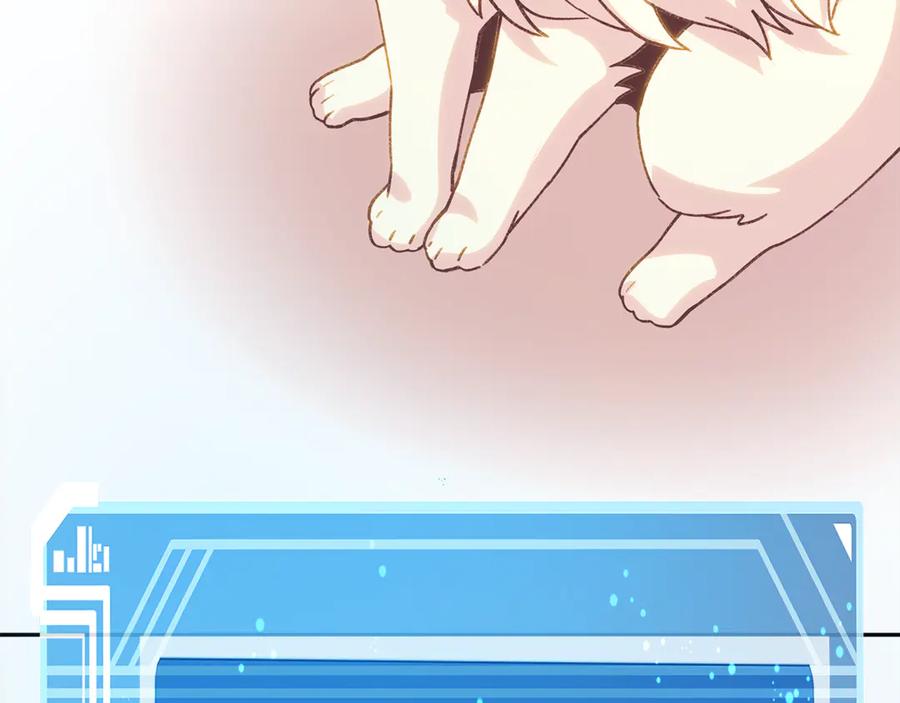 第204页